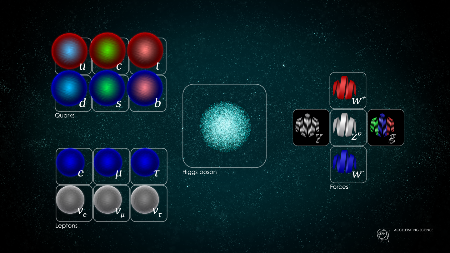 Standard model: is the god particle really important