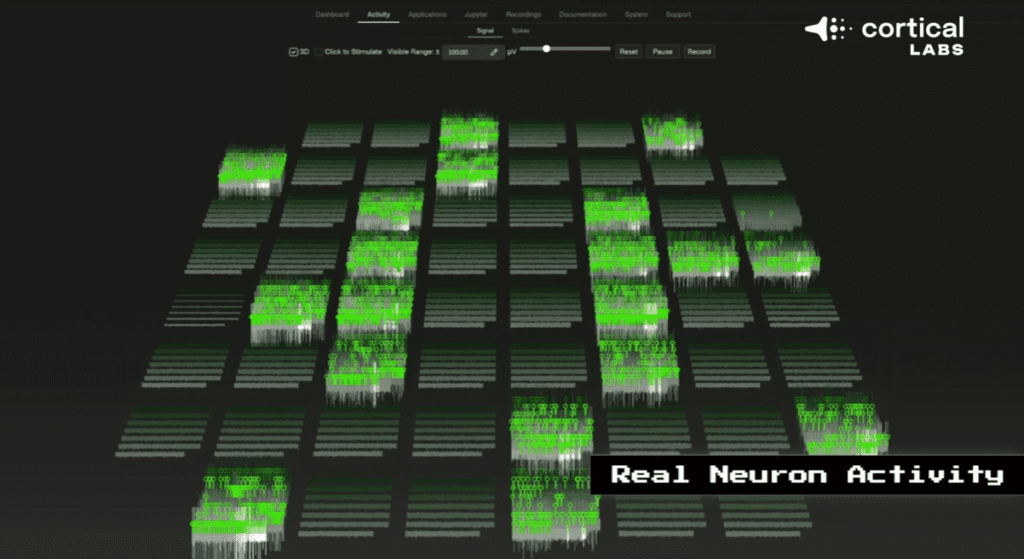Neuron activity while playing Doom