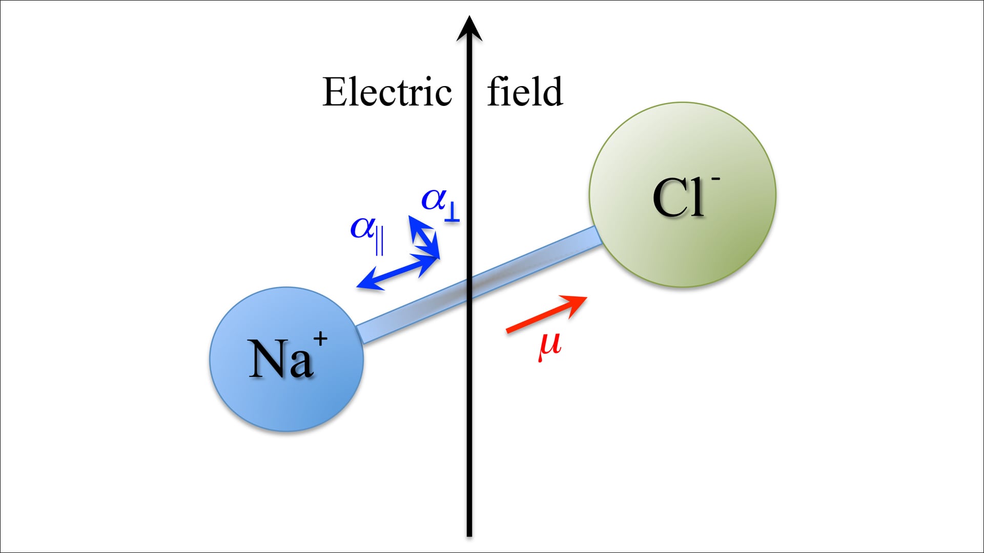 How Electric Fields Turn Neutral Molecules into Dipoles